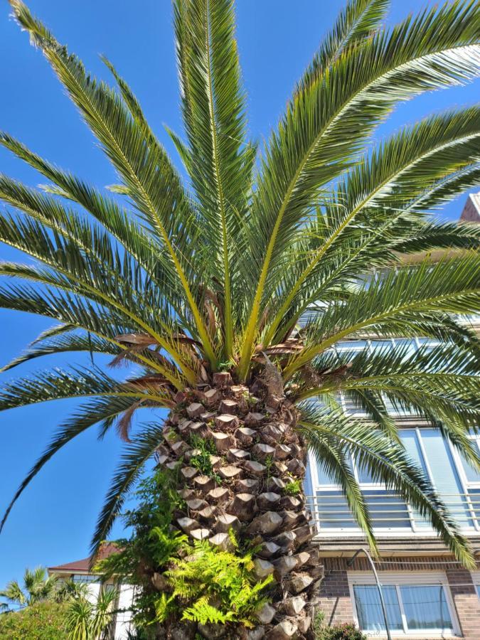 Luminoso Apartamento Playa Ris Con Garaje Ноха Екстериор снимка
